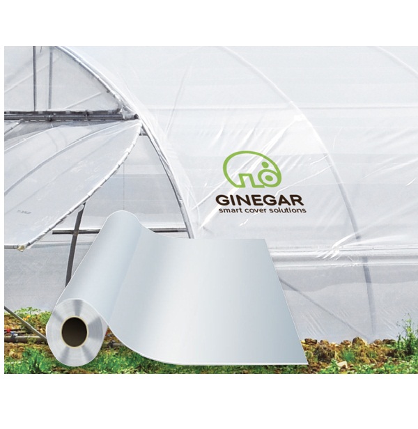 MÀNG KÍNH KHỔ 3.2MX100M GINEGAR ISRAEL 