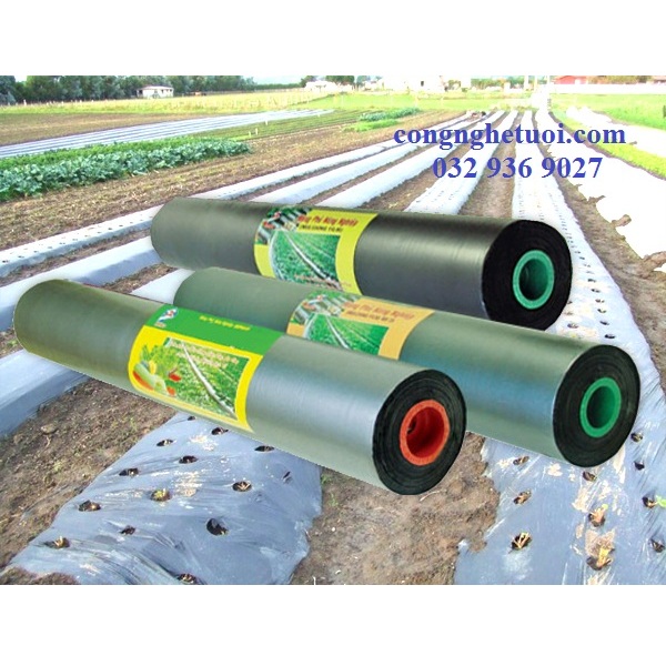 MÀNG PHỦ NÔNG NGHIỆP KHỔ 1.2MX400M, 25MIC