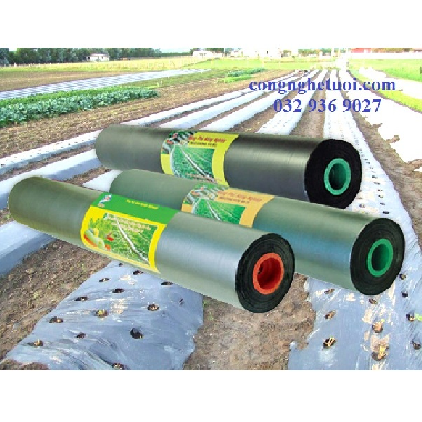 MÀNG PHỦ NÔNG NGHIỆP KHỔ 1.2MX400M, 25MIC