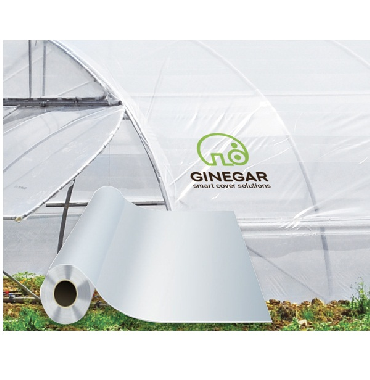 MÀNG KÍNH KHỔ 2,2MX100M GINEGAR ISRAEL 