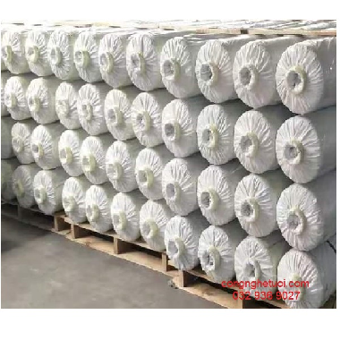 MÀNG LÀM NHÀ KÍNH PRO 150 MICRON